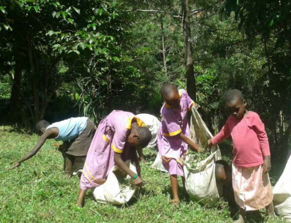 Voluneers in Rushooka